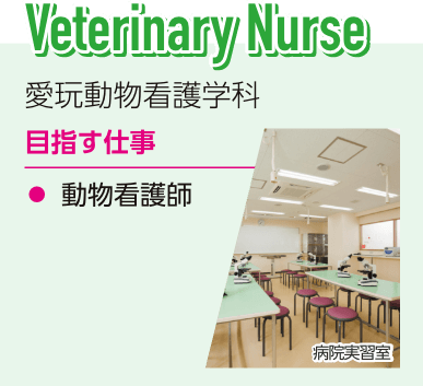 愛玩動物看護学科