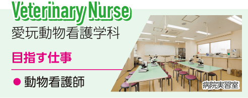 愛玩動物看護学科