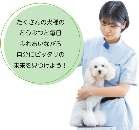 たくさんの犬種のどうぶつと毎日ふれあいながら自分にピッタリの未来を見つけよう！
